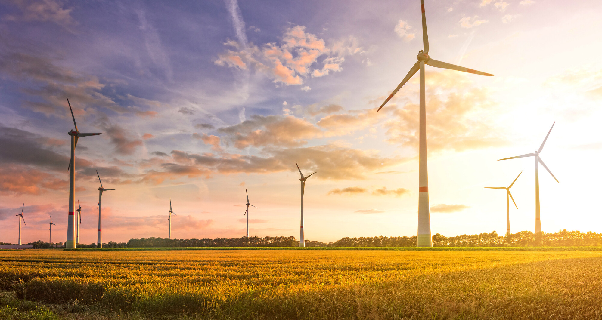 Een marktleider gespecialiseerd in service, onderhoud en optimalisatie van windturbine rotorbladen